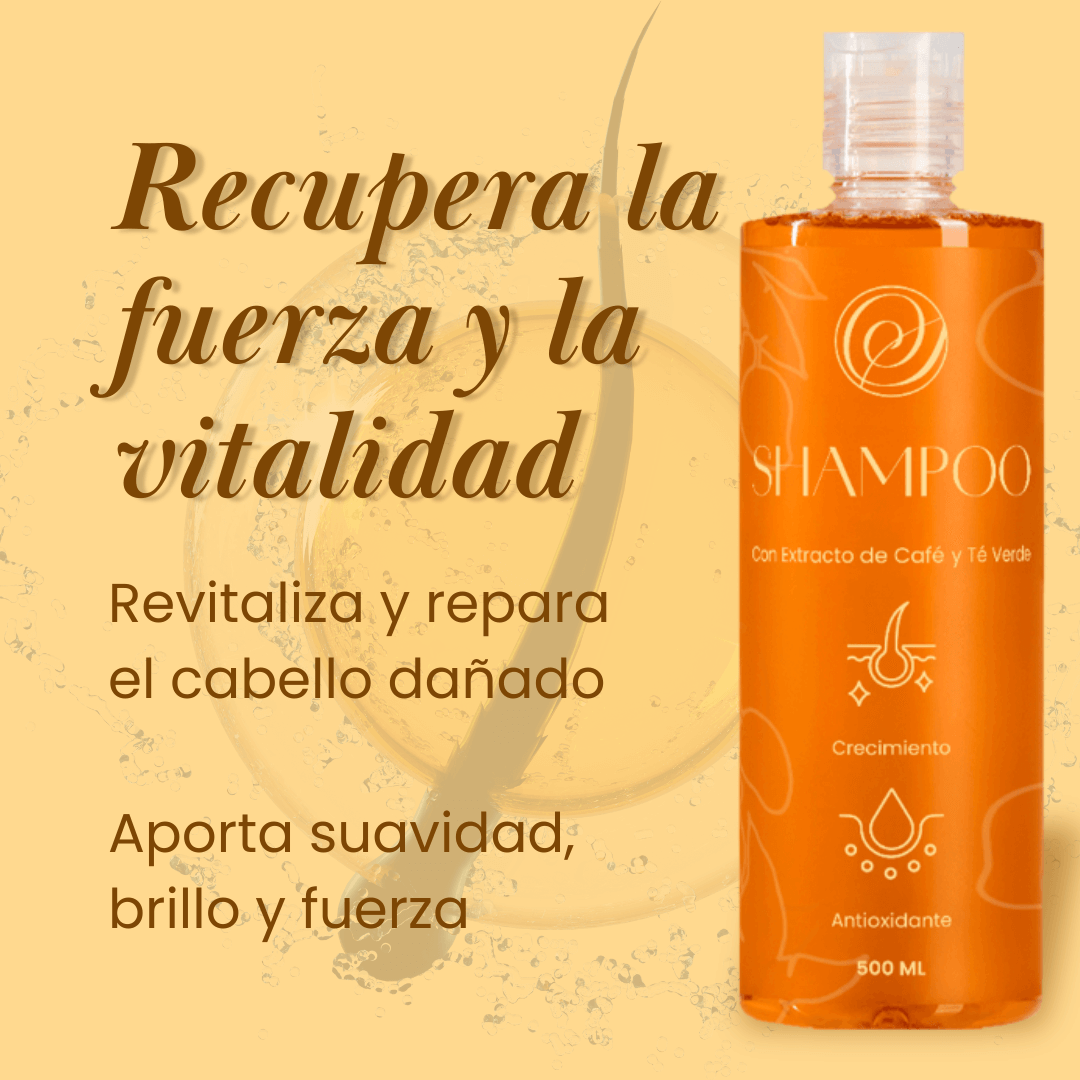 Shampoo ✨