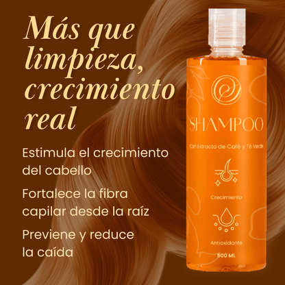 Shampoo ✨