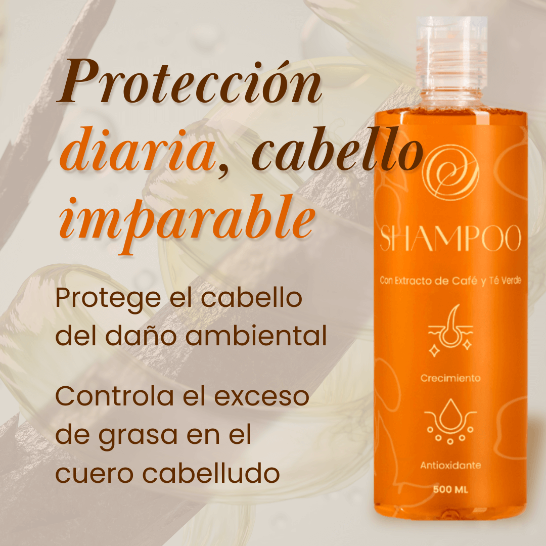 Shampoo ✨