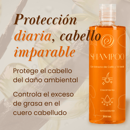 Shampoo ✨