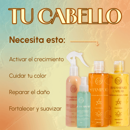 Linea Capilar ✨