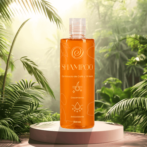 Shampoo ✨